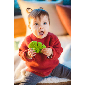 Mordedor de caucho Monstera... 2